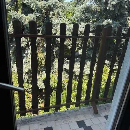 Aradi * Σίοφοκ
